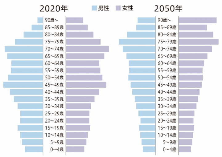 30年後の年齢別男女比グラフ