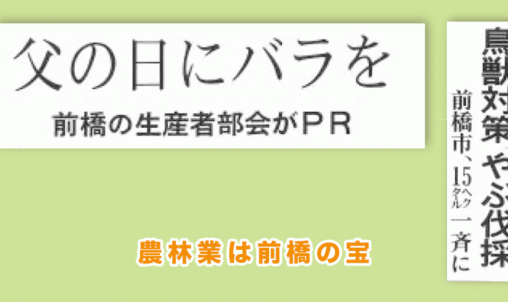 農林業は前橋の宝