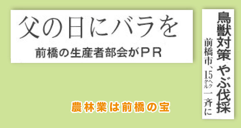 農林業は前橋の宝